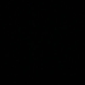 Meet your Posher, Leilah